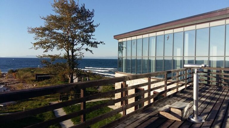 Визит центр Байкал Заповедный