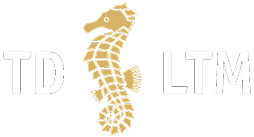 Логотип TD LTM
